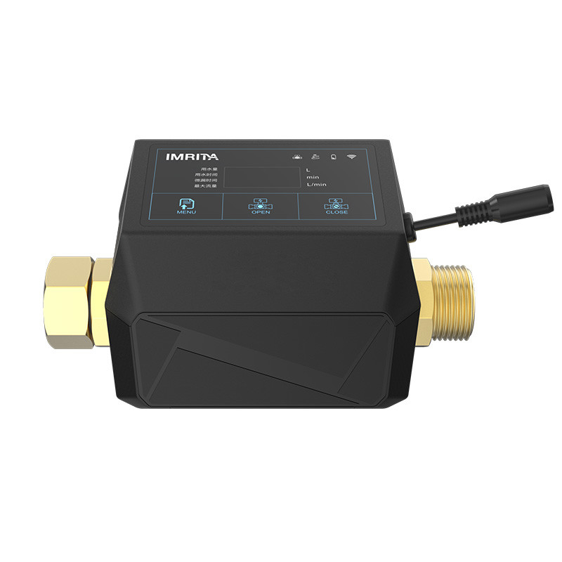 moniteur sans fil de fuite d'eau du Smart Home 160L, détecteur de fuite du Smart Home 100V